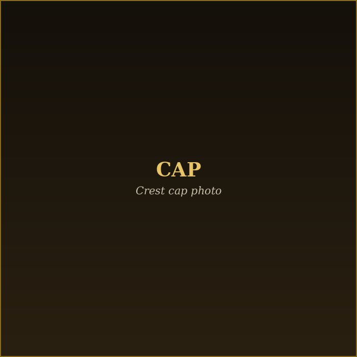 Amorato branded black cap with gold embroidered crest