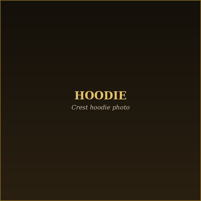 Amorato branded black hoodie with gold crest embroidery